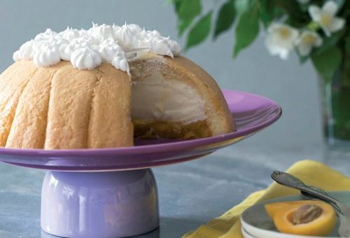 KEDİDİLLİ KAYISILI KOLAY PASTA