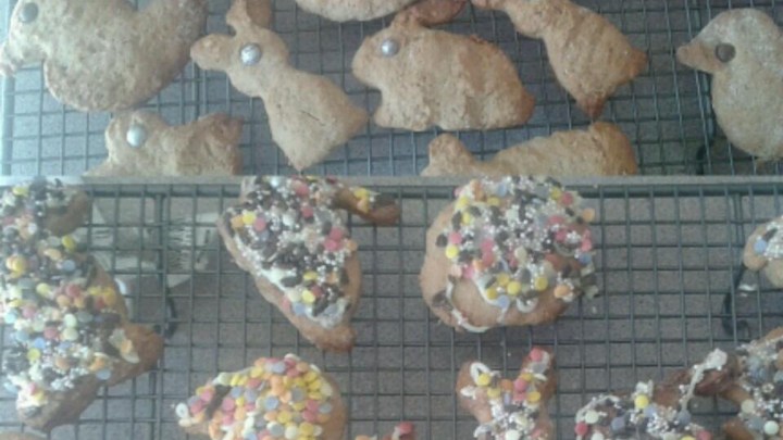 Tarçınlı Bisküvi