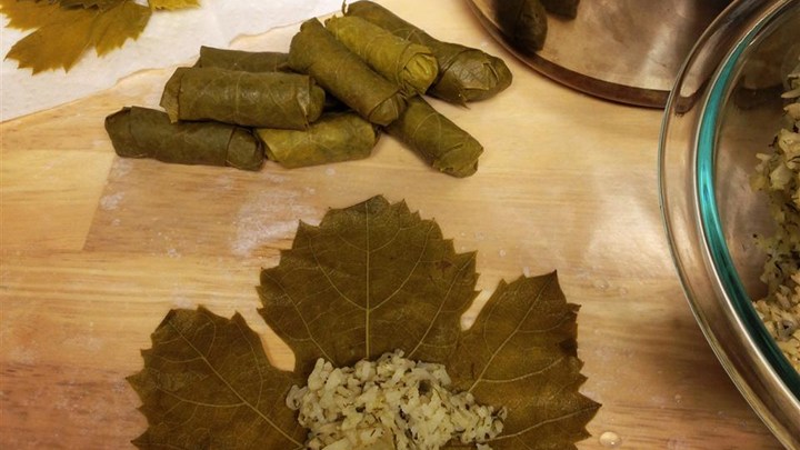 My Own Famous Stuffed Grape Leaves