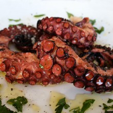 Grilled Octopus