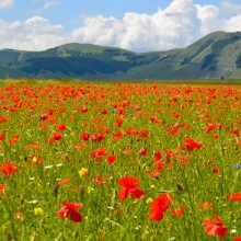 Castelluccio And The Piano Grande 2014 - A Photo Journal