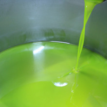 Olive Harvest 2013 - A Photo Journal