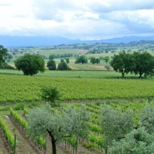 Return To Umbria - May 2013