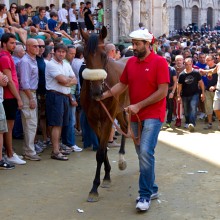 My Siena Palio Experience Part One
