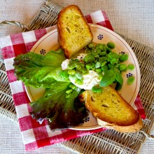 Marinated Fava Beans With Burrata Cheese