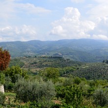 Friday Photos From Umbria & Tuscany ~ September 4th, 2015