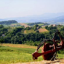 Friday Photos From Umbria ~ August 21st, 2015