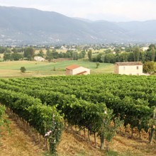 The Filming of CNBC's Wine Portfolio