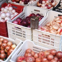 Festa della Cipolla in Cannara