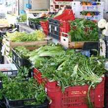 Winter in Umbria ~ Week 3