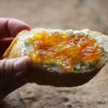 Orange Marmalade With Campari